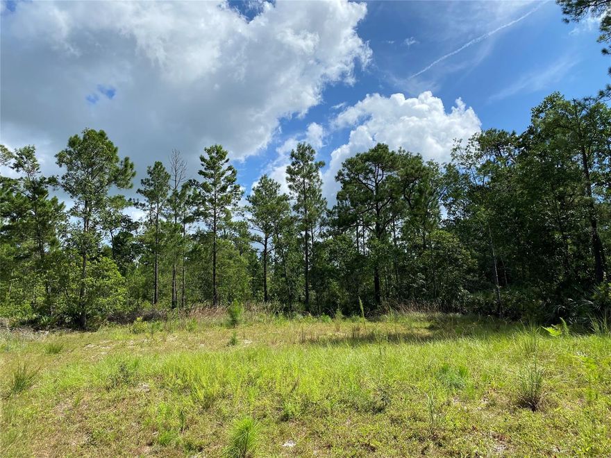 This is rural living at its best! 2.5 wooded acres near Lake Ashby in New Smyrna Beach. Has portion in rear of property cleared and ready for your new home! Very private! Zoned RA which allows for single family standard or manufactured modular dwelling with a minimum of 1,000 living square feet. Owner will consider financing with 25% down, 5 years at 5% interest.