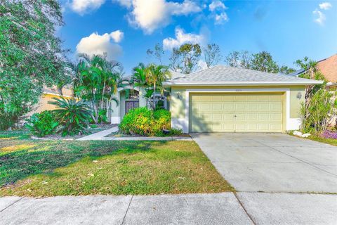 A home in RIVERVIEW