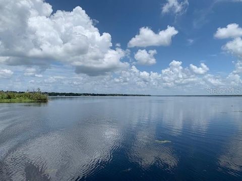 A home in LAKE PANASOFFKEE