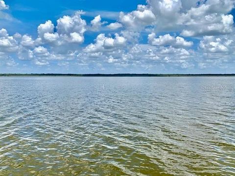 A home in LAKE PANASOFFKEE