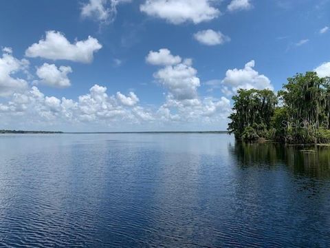 A home in LAKE PANASOFFKEE