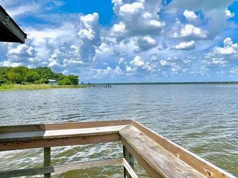 A home in LAKE PANASOFFKEE