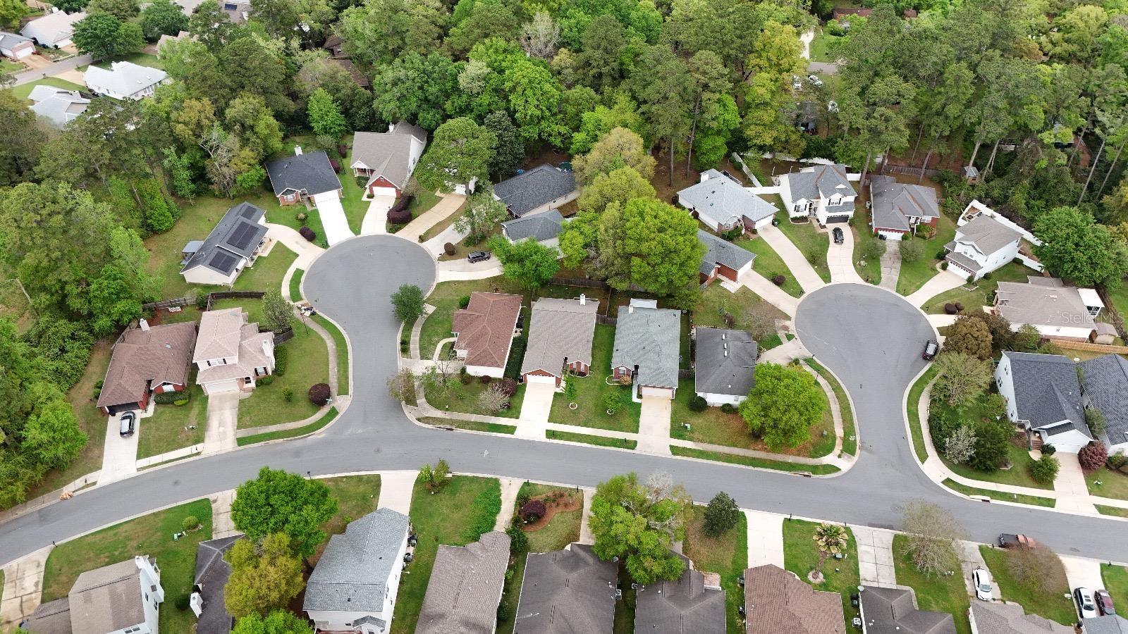 ALEXIS COURT