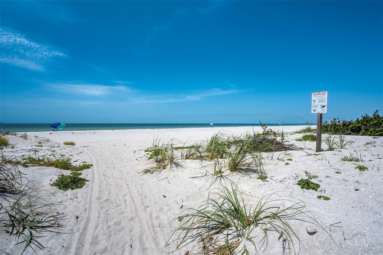 SAND KEY CONDO-SOUTH BEACH - Residential