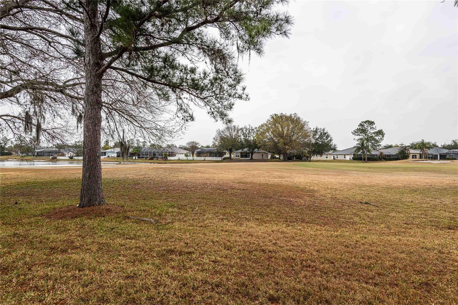 LEXINGTON OAKS VILLAGES - Residential