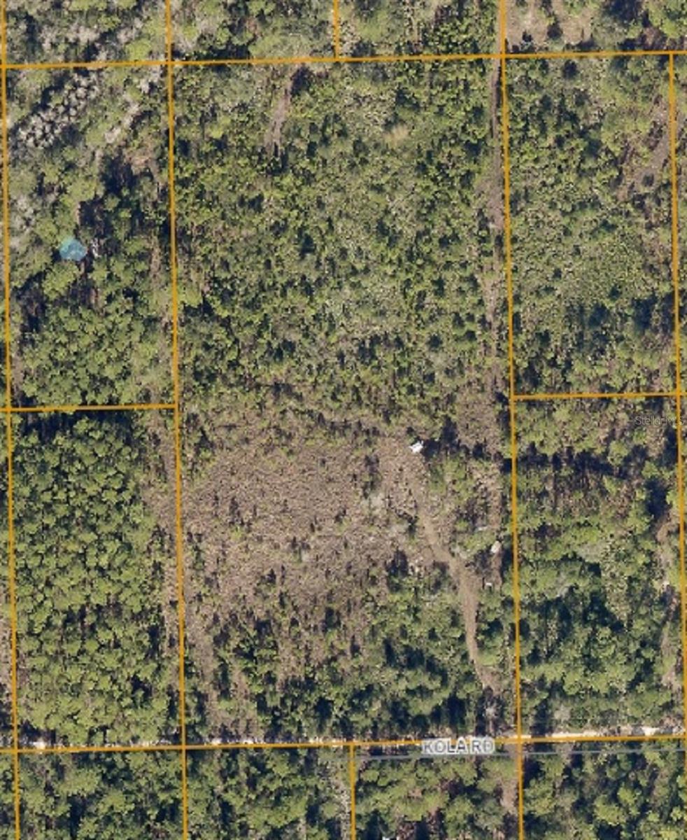 Nice secluded five-acre estate lot for complete privacy. Owner completed wetland determination and survey. Seller will provide a non-conforming lot letter prior to closing to verify that the lot can be developed since it does not meet the minimum required lot area within the County Resource Corridor zoning regulations. Site has several improvements as follows: an existing well and well house; electric power; partially cleared; elevated driveway from front gate to the well house and electric service meter on a power pole; and filling of road in various locations. Seller continues to improve road, which consists of shell, dirt and sand. All these improvements, including the wetland determination and survey are valued at over $30,000.; Cleared: Partial