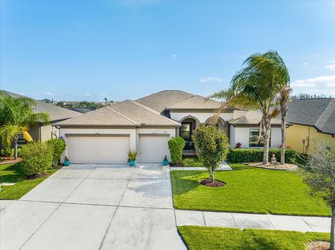 A home in WIMAUMA