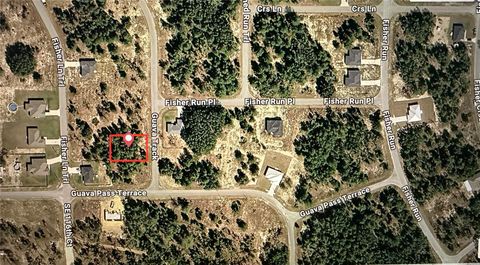 GUAVA TRACK OCKLAWAHA FL 32179