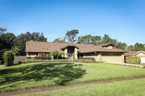 A home in ORLANDO