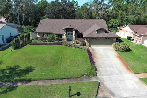 A home in ORLANDO