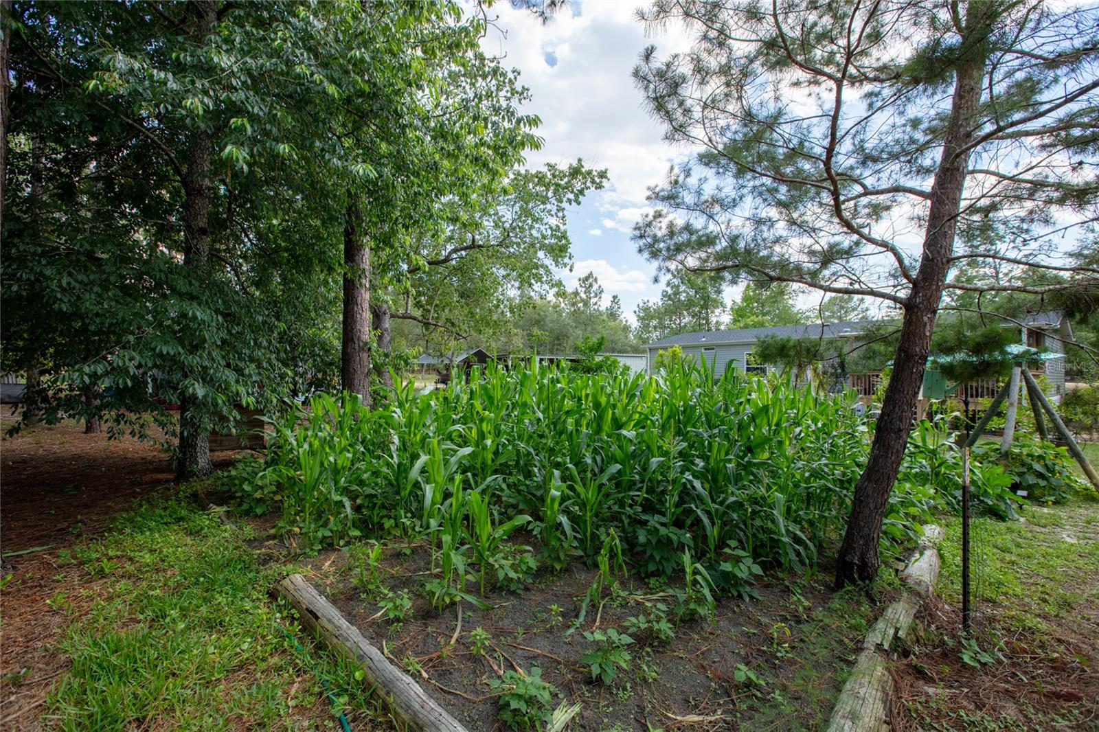 BIG TREE LAKES SEC A - Residential