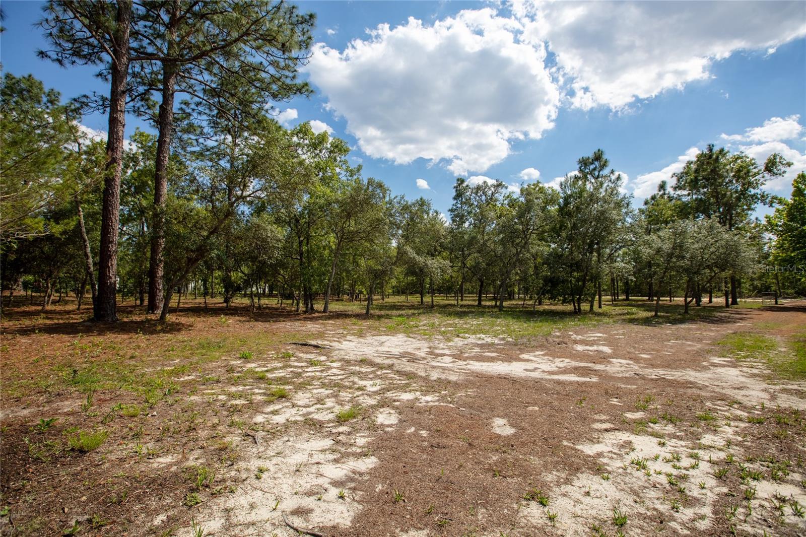 BIG TREE LAKES SEC A - Residential
