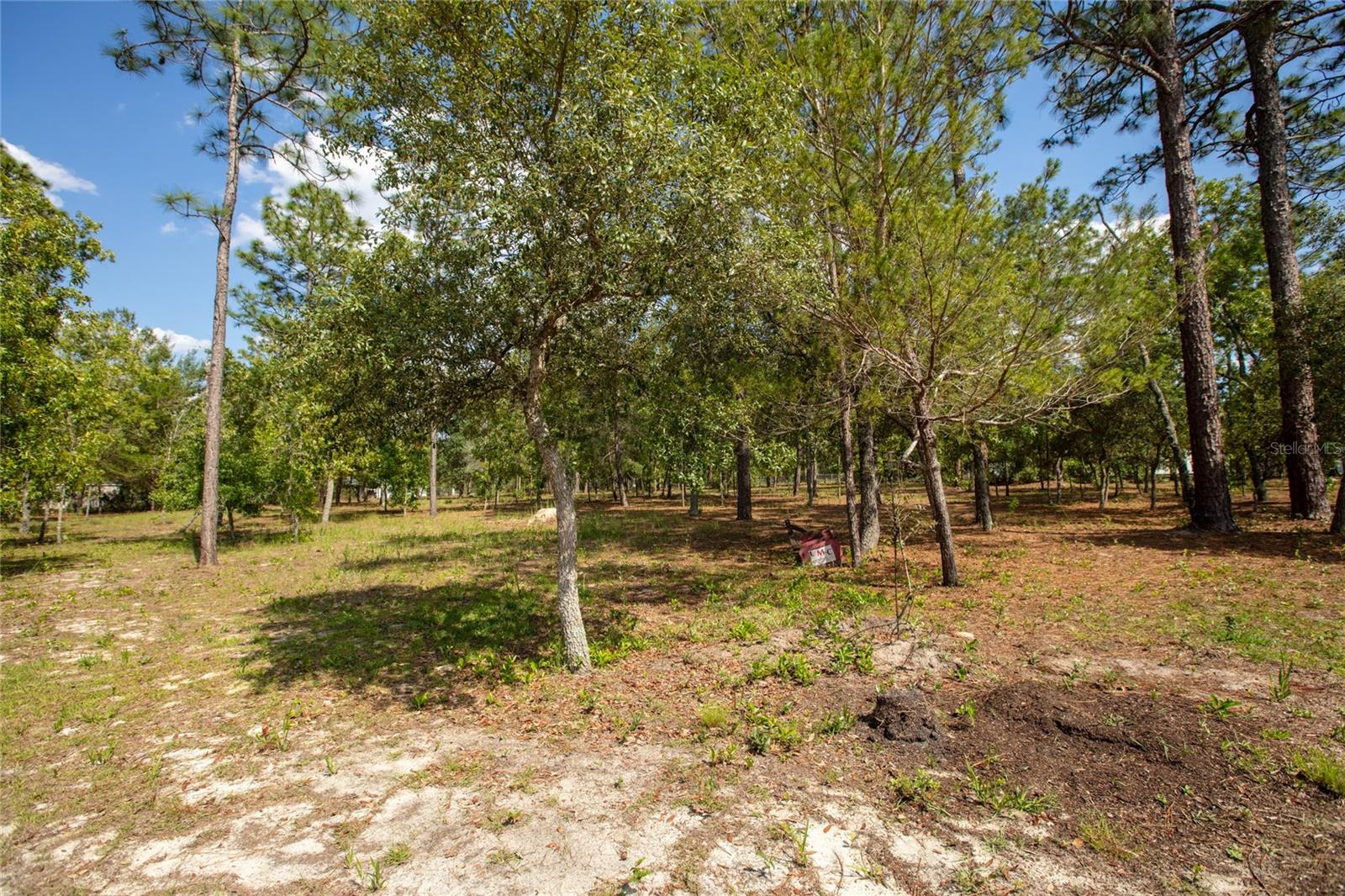 BIG TREE LAKES SEC A - Residential