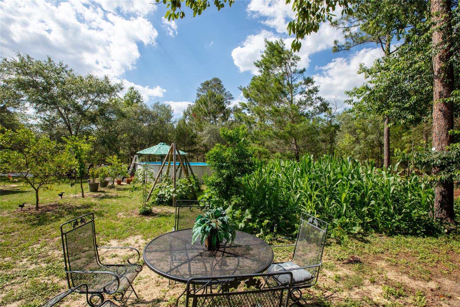 BIG TREE LAKES SEC A - Residential
