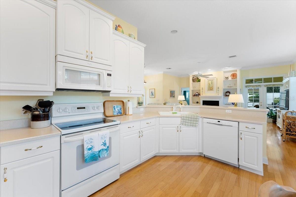 Saxon Court - Residential