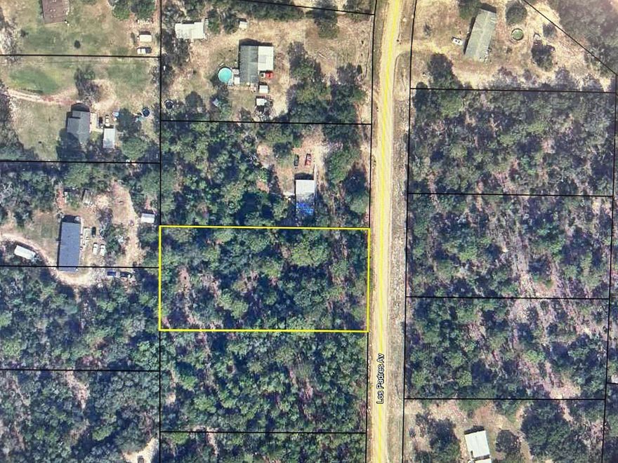 THIS LARGE 1.25 ACRE LOT IS AVAILABLE TO BUILD YOUR NEW HOME WITH ENOUGH SPACE TO ENTERTAINE FAMILY AND FRIENDS.  PRICED TO SELL! THERE ARE AN ABUNDANCE OF ACTIVITIES TO BE ENJOYED IN CLAY COUNTY SO MAKE THIS YOUR LOT YOUR HOMESTEAD.