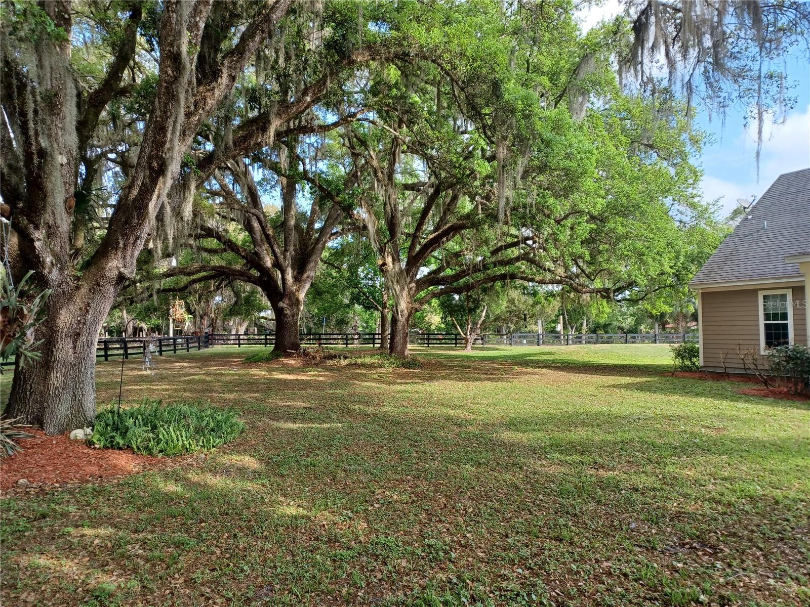 BLACK HAMMOCK - Residential