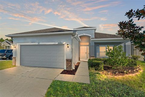 Photo of 30745 Satinleaf Run, Brooksville, FL 34602 (MLS # W7880098)