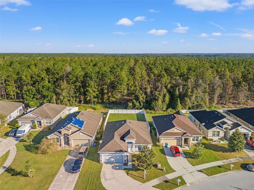 Photo of 30745 Satinleaf Run, Brooksville, FL 34602 (MLS # W7880098)