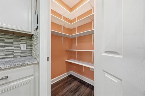 Tiny photo for 30145 Losino Cove, Mount Dora, FL 32757 (MLS # O6452141)
