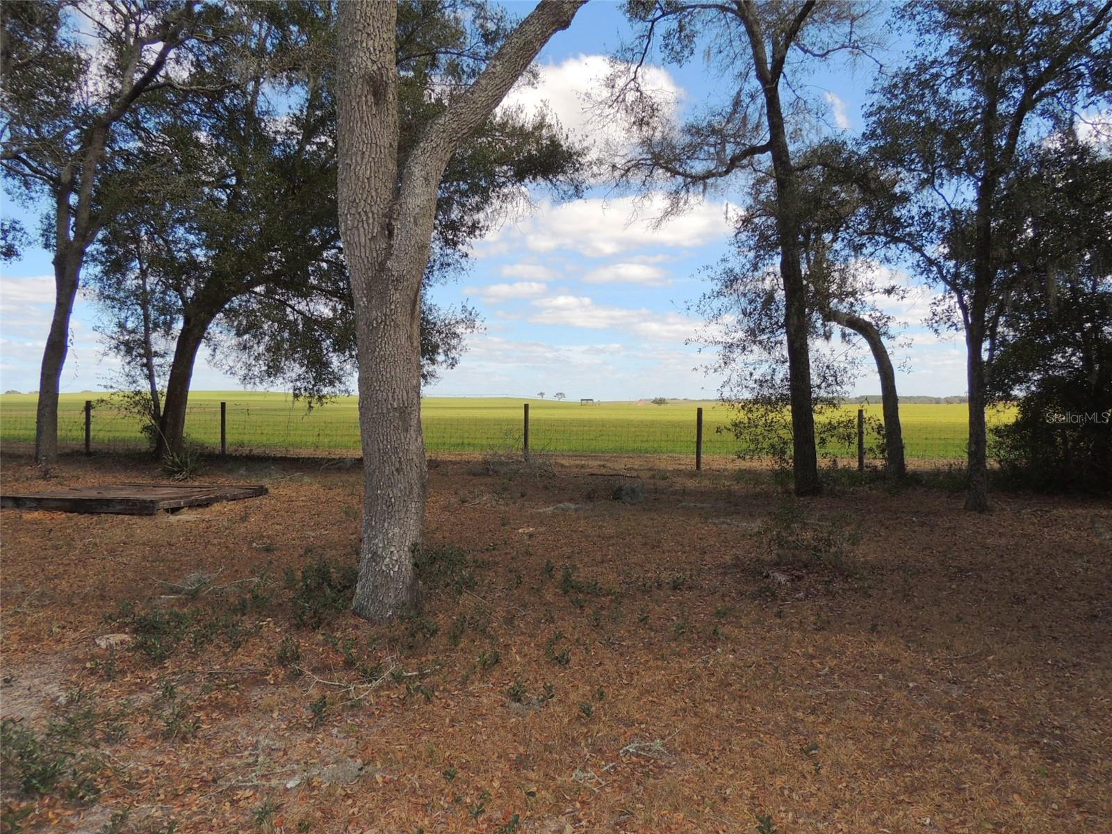 WOODLAND FARMS - Residential