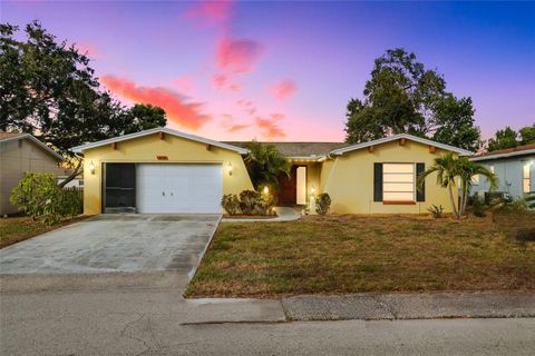 A home in PORT RICHEY