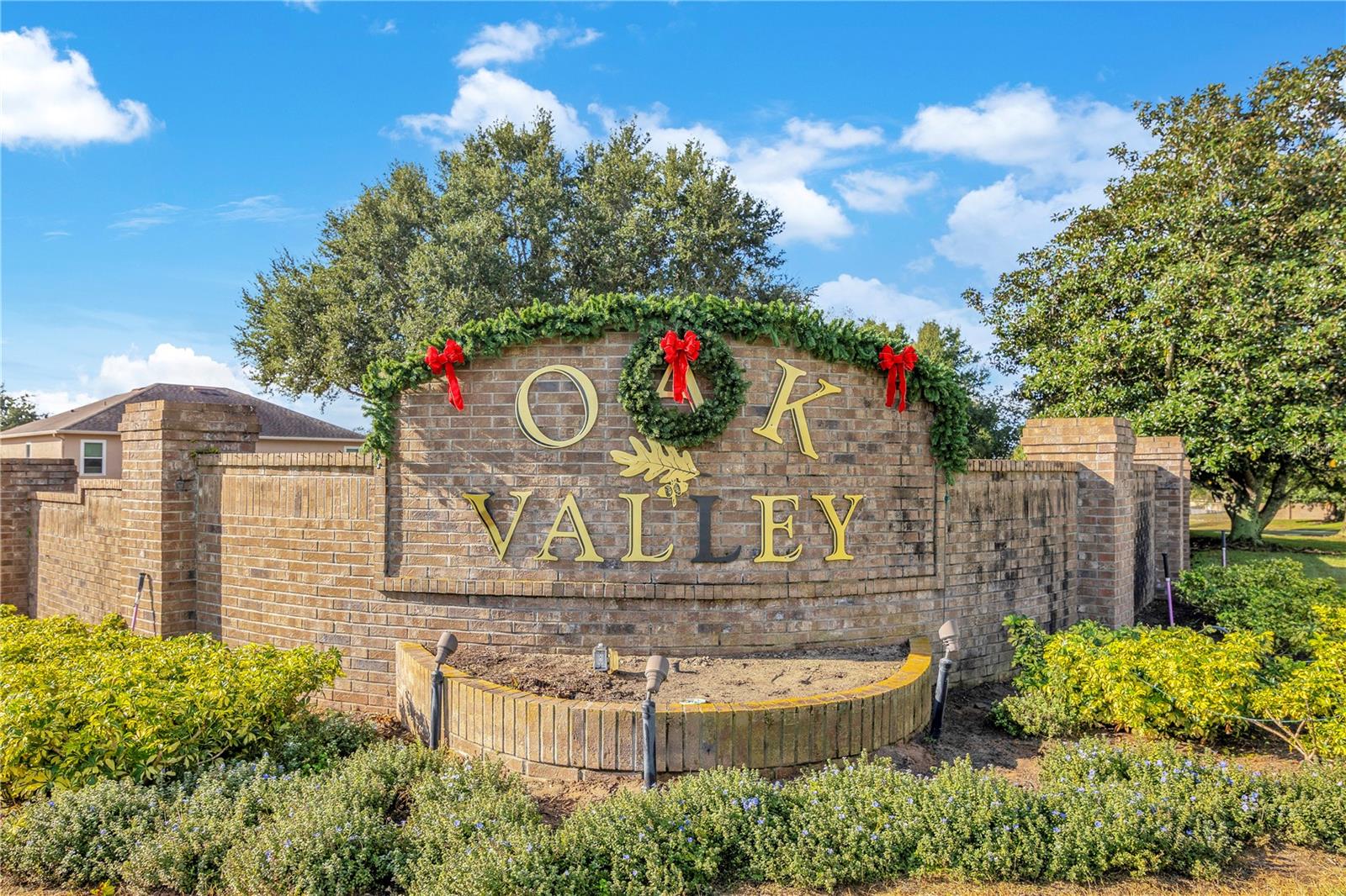 MINNEOLA OAK VALLEY PH 04B LT 206 - Residential