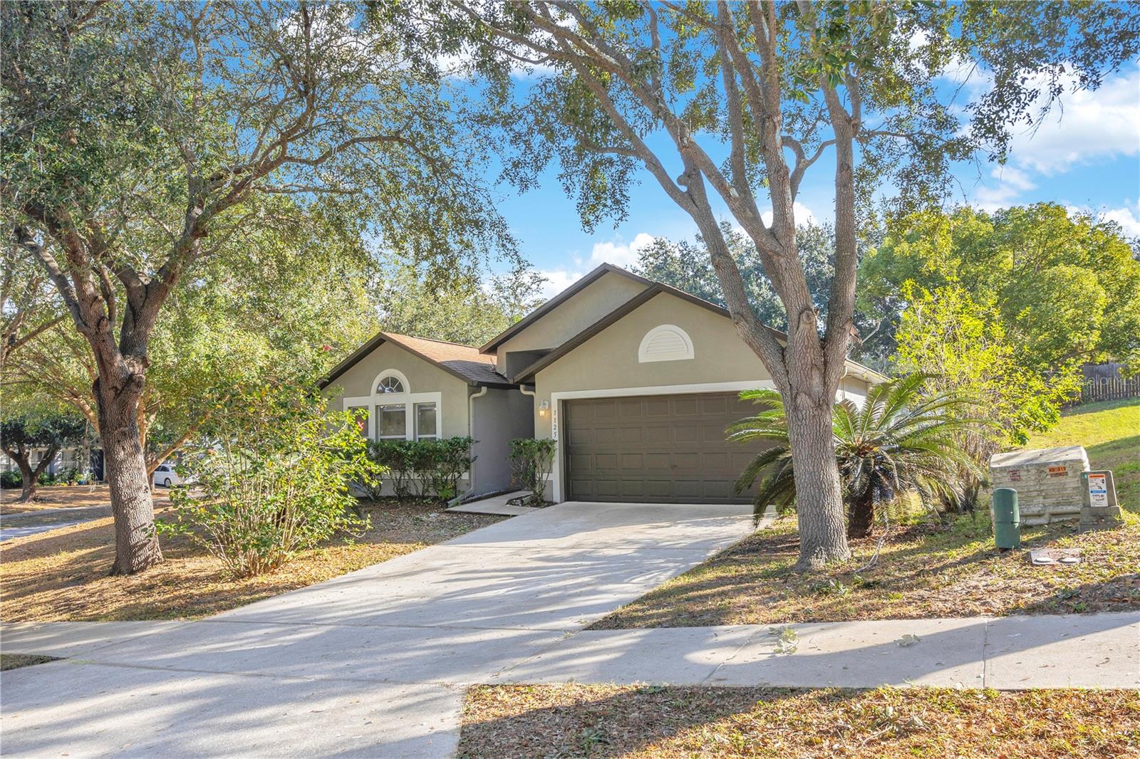 MINNEOLA OAK VALLEY PH 04B LT 206 - Residential