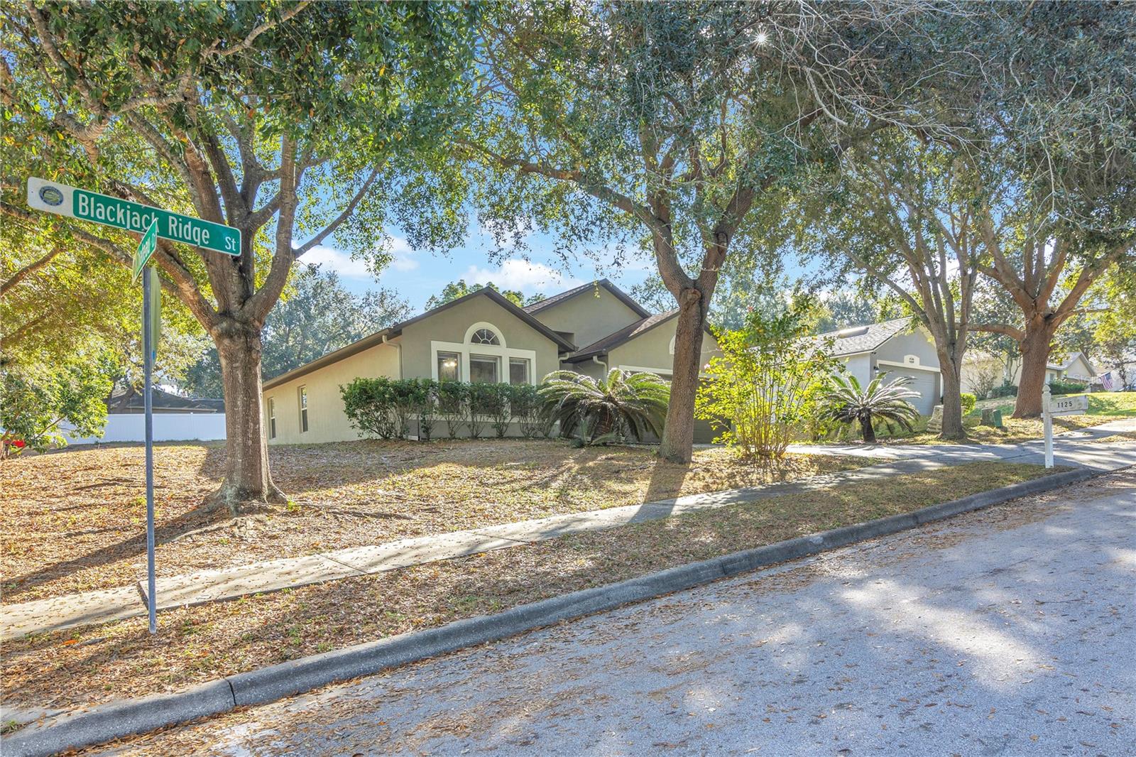 MINNEOLA OAK VALLEY PH 04B LT 206 - Residential
