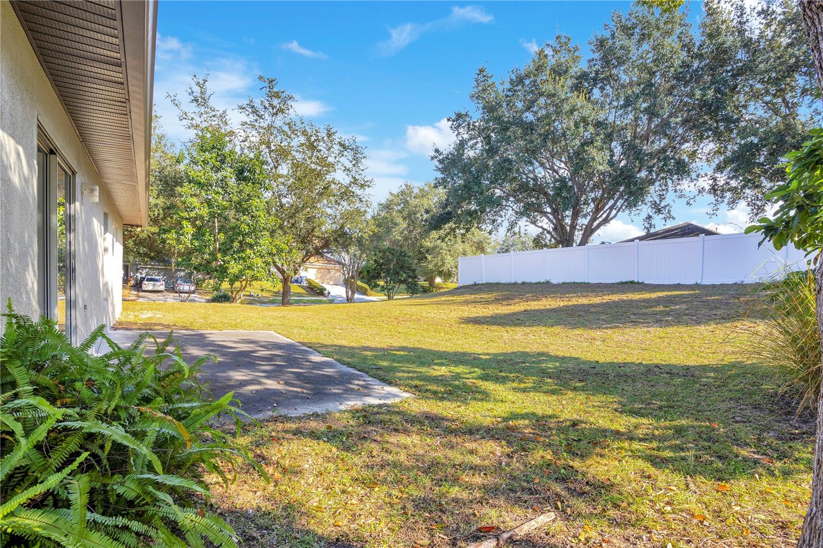 MINNEOLA OAK VALLEY PH 04B LT 206 - Residential