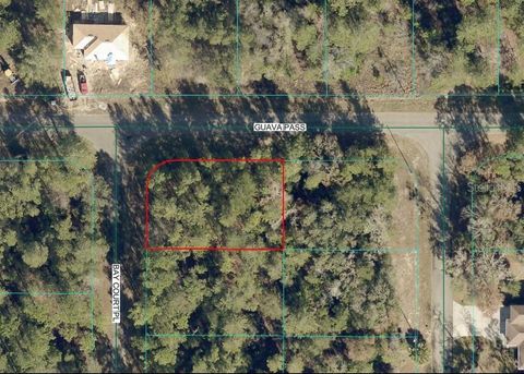 Photo of 00 Guava Pass, Ocklawaha, FL 32179 (MLS # OM727490)