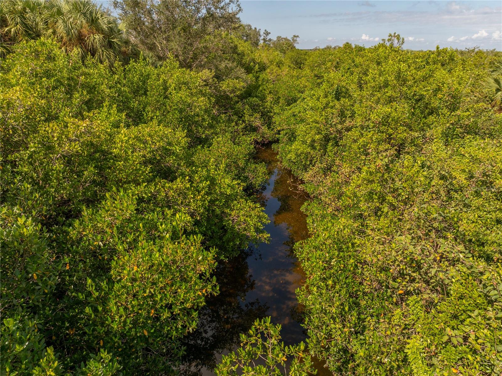 PIRATE HARBOR - Residential