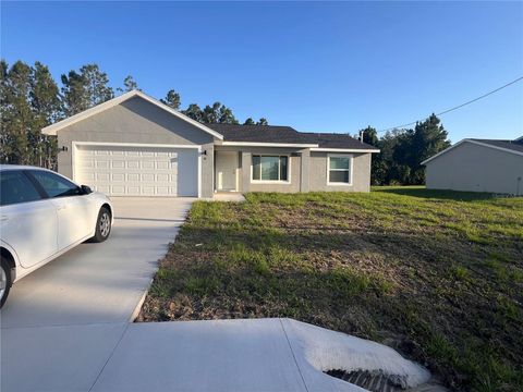 10 MALAUKA PASS WAY OCKLAWAHA FL 32179