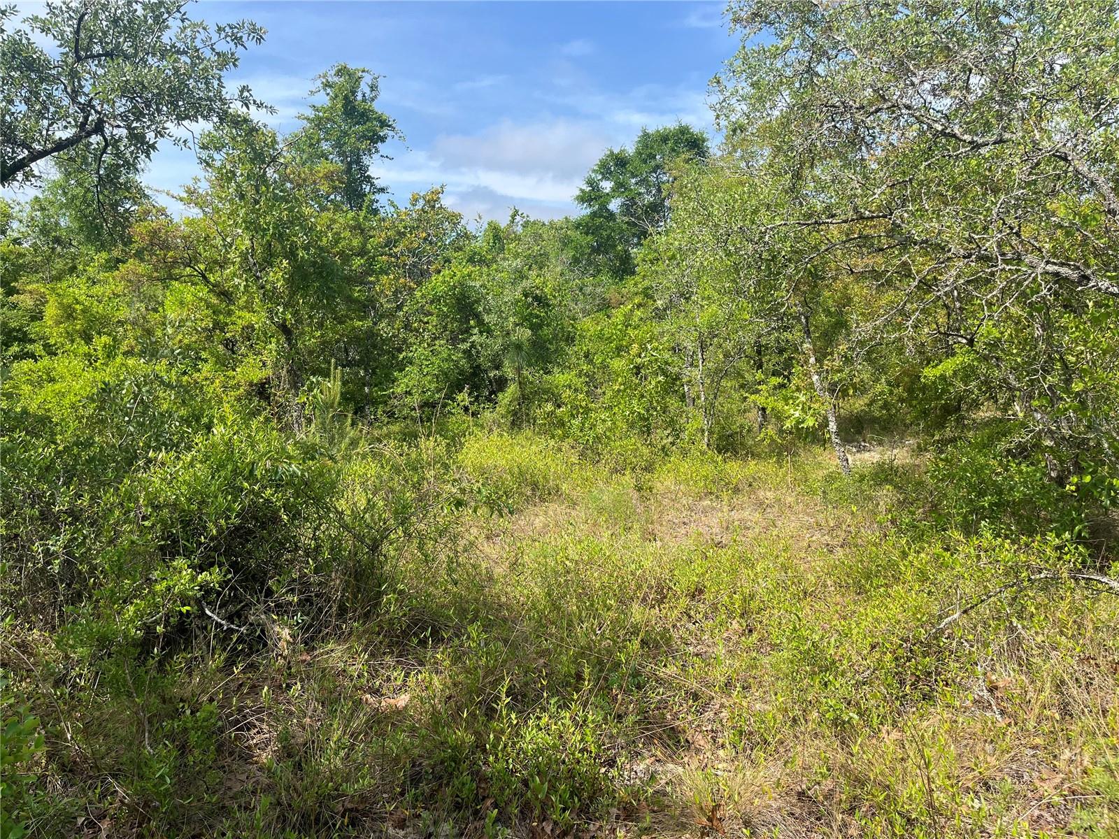 COMPASS LAKE HILLS - Land