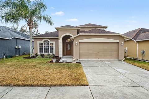 Photo of 10602 Beneva Drive, Tampa, FL 33647 (MLS # O6380799)