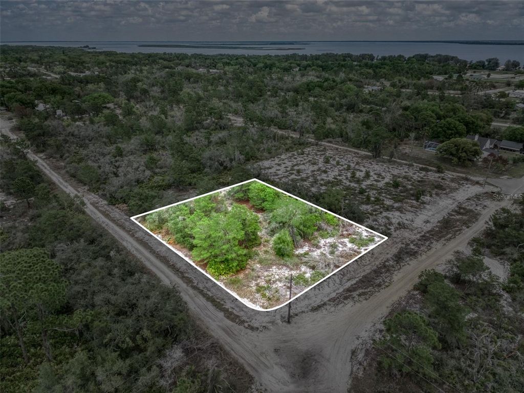 Photo of 143 Patton Avenue, Lake Placid, FL 33852 (MLS # L4960431)