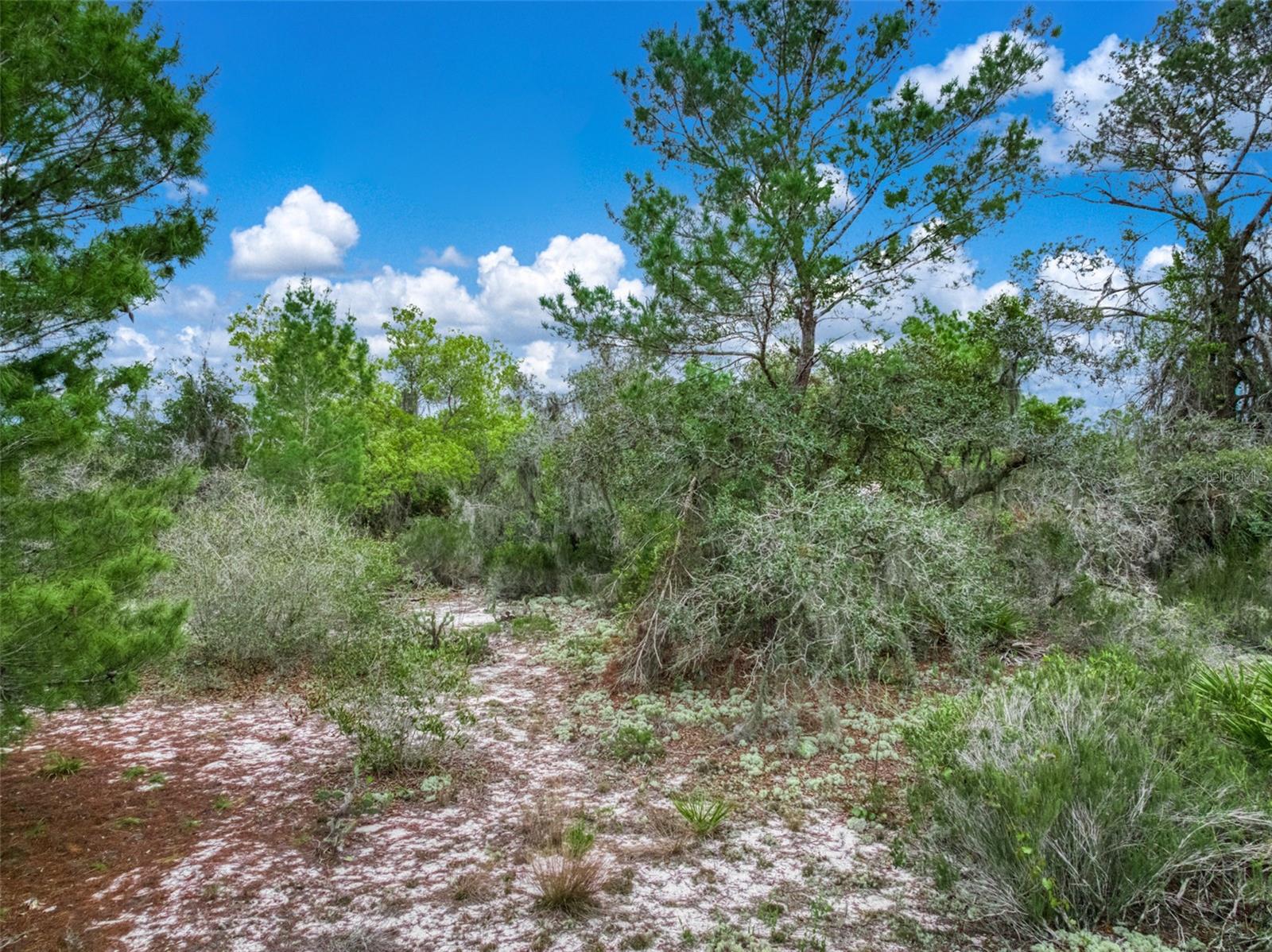 HIGHLANDS PARK ESTATE - Land