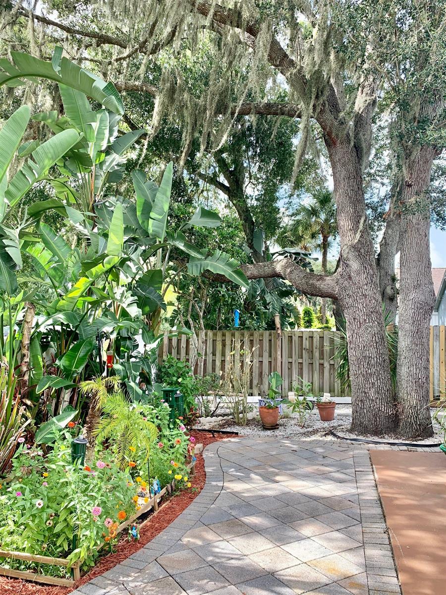 Century Woods - Residential