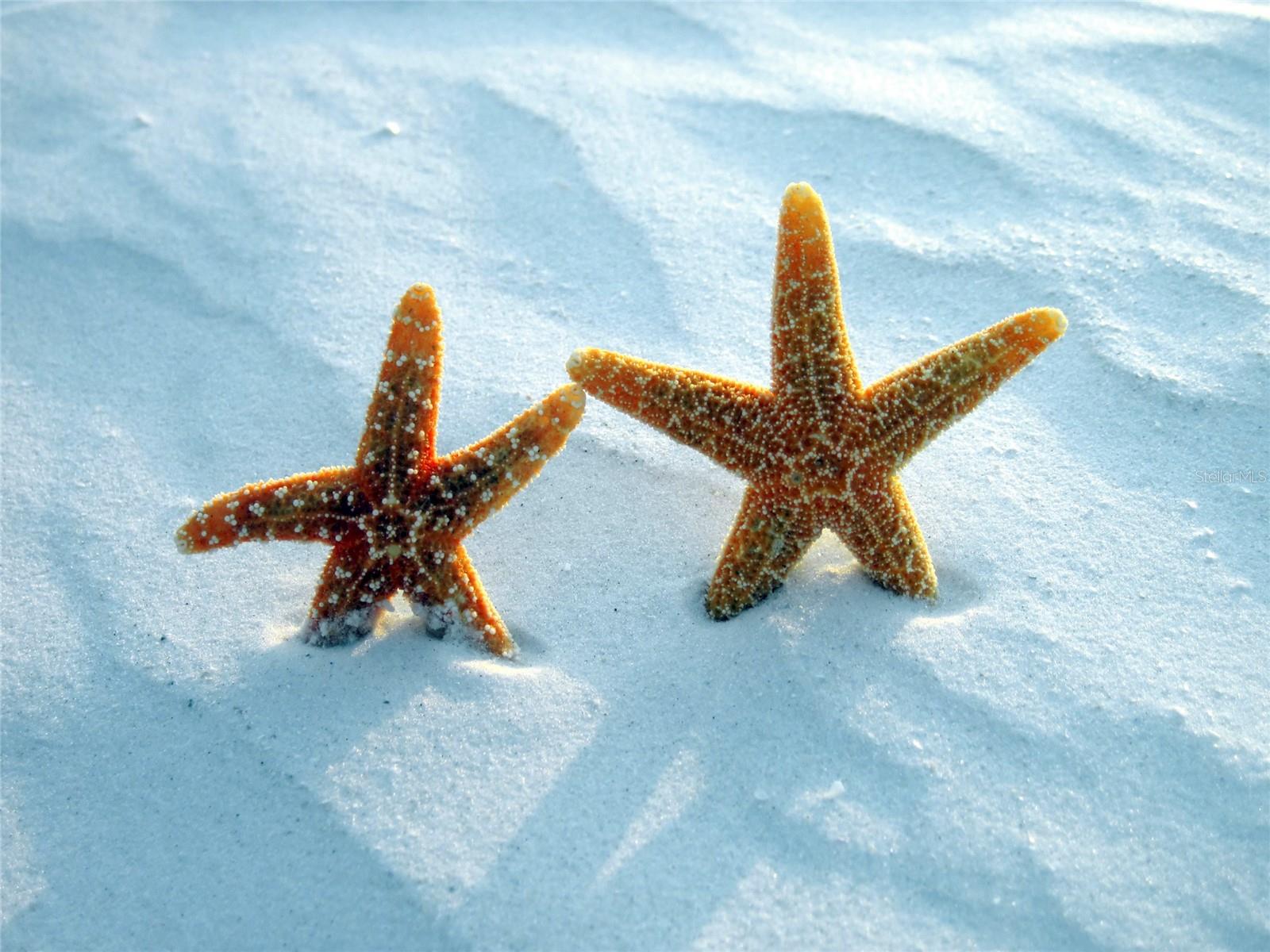 CLIFFORDS SUB - Residential