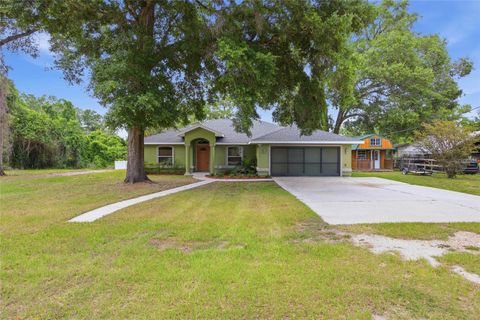 Photo of 3539 SE 136th Place, Summerfield, FL 34491 (MLS # OM724530)