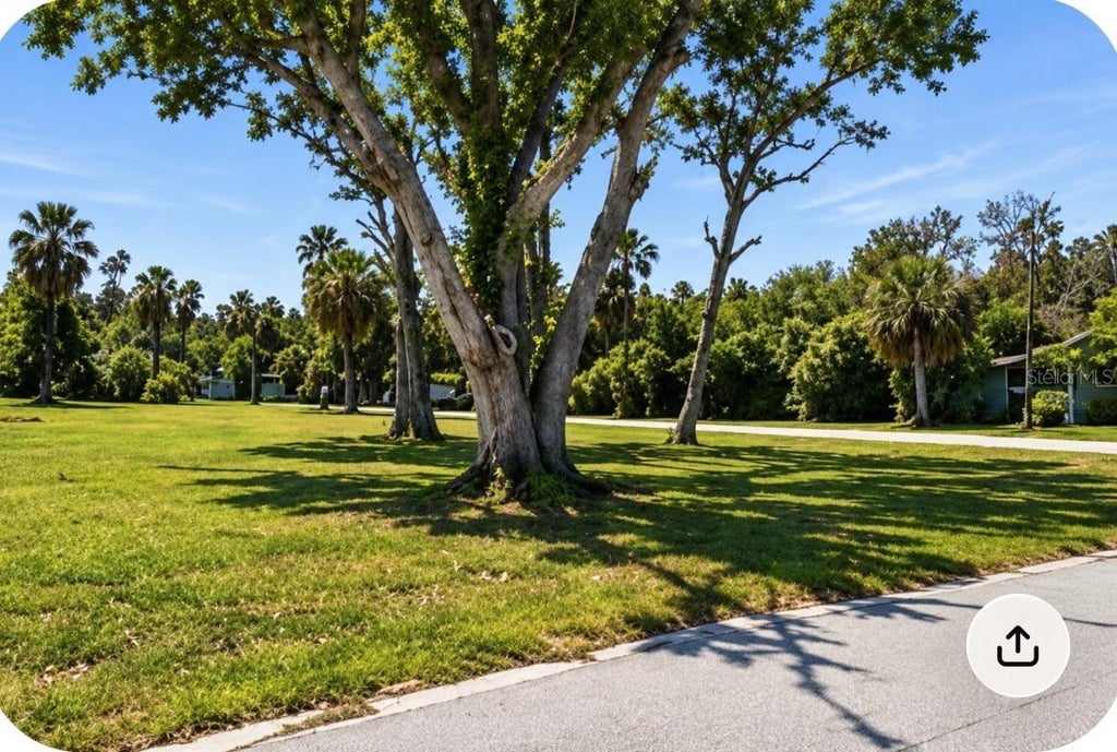 Photo of 7653 Pier Road, Port Richey, FL 34668 (MLS # O6440292)