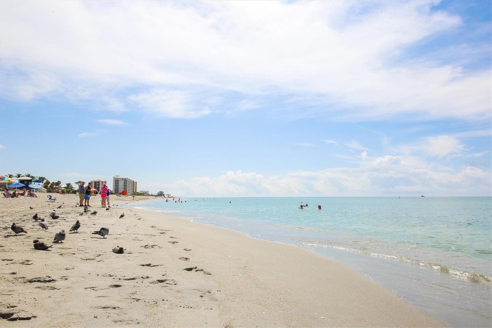 VENICE GULF VIEW - Residential