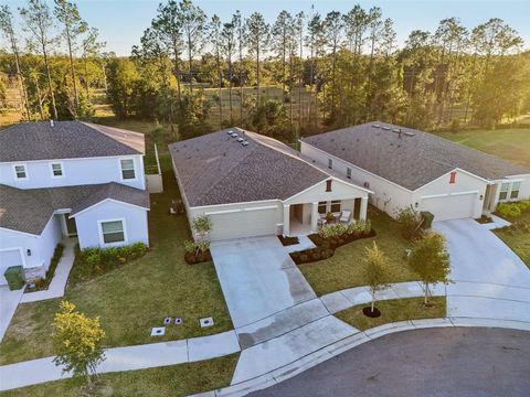 A home in LEESBURG