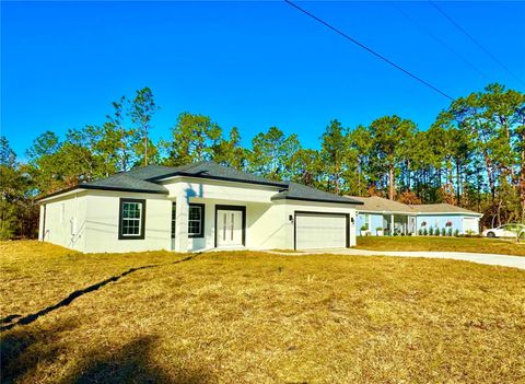 A home in CITRUS SPRINGS