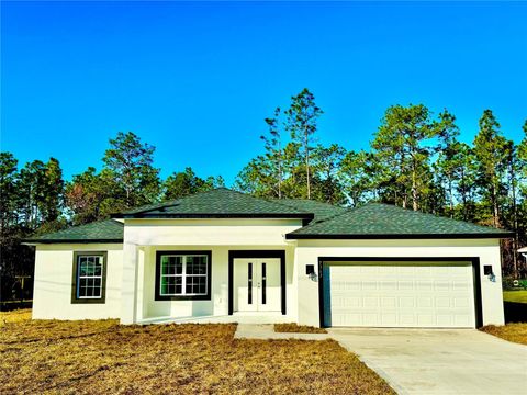 A home in CITRUS SPRINGS