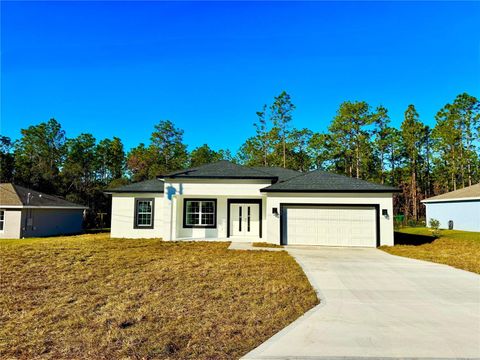 A home in CITRUS SPRINGS