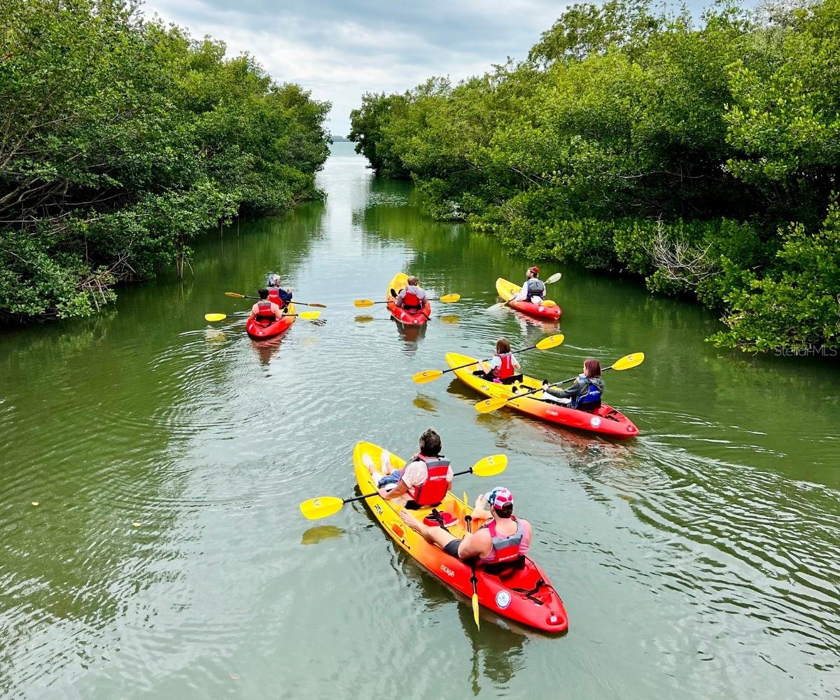 ISLAND REEF II PH 1 2 & 3 - Residential