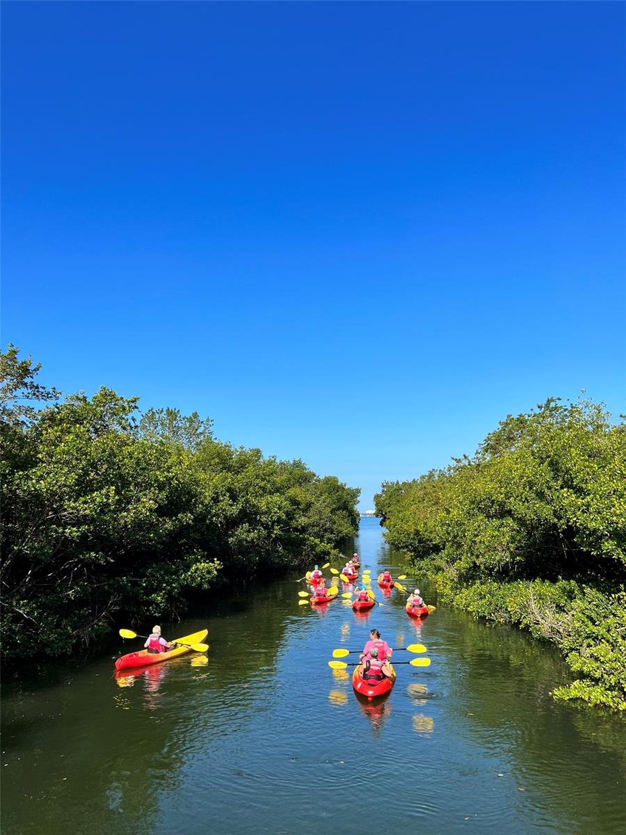 ISLAND REEF II PH 1 2 & 3 - Residential