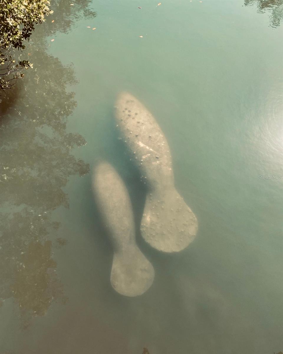 ISLAND REEF II PH 1 2 & 3 - Residential