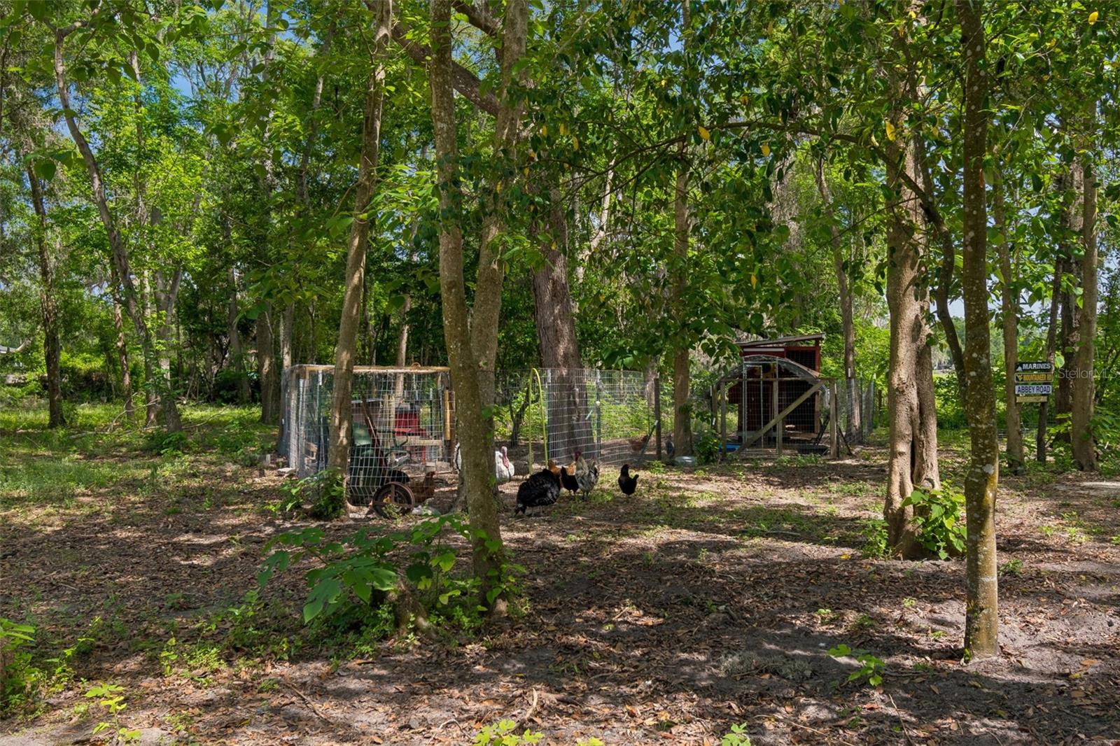 UNPLATTED - Residential